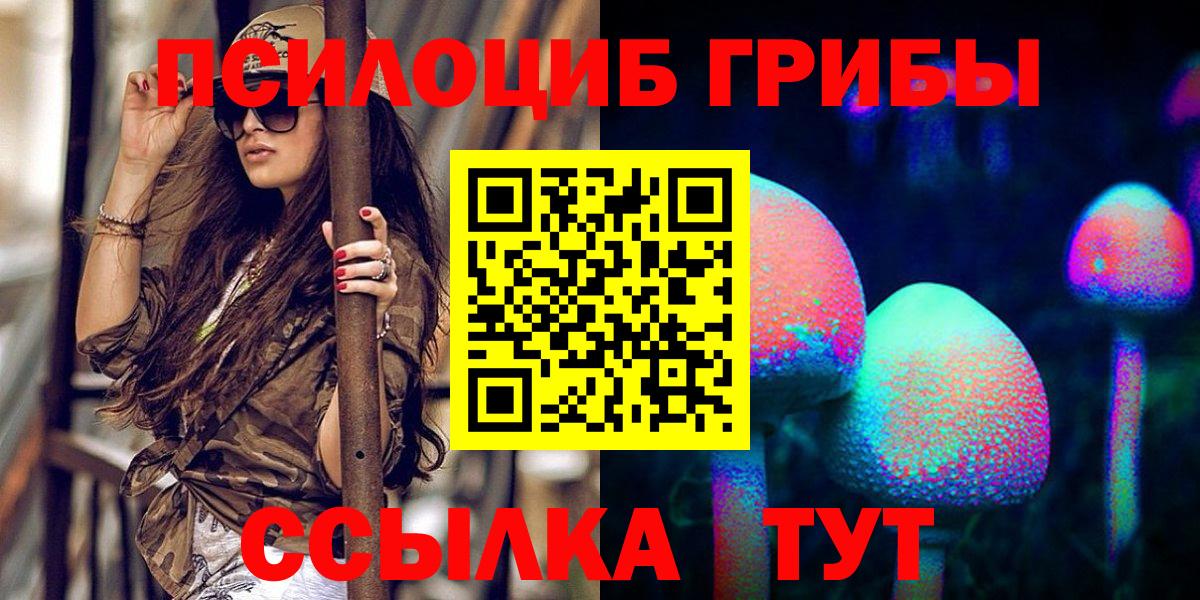 Псилоцибиновые грибы MAGIC MUSHROOMS  Вход с VPN  Ялуторовск  Галлюциногенные грибы Psilocybine cubensis 